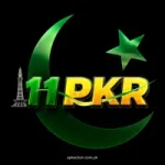11pkr game