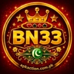Bn33 game